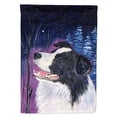 thumbnail image 2 of Carolines Treasures SS8369GF Starry Night Border Collie Flag - Garden Size, 2 of 4