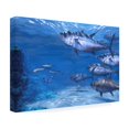 thumbnail image 4 of The Macneil Studio 'Tuna' Canvas Art, 4 of 4