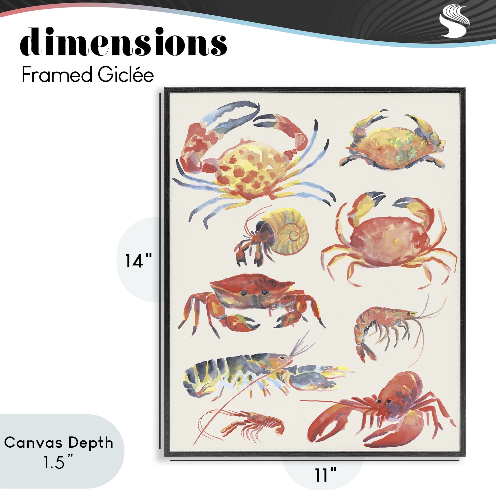 Stupell Industries Nautical Crustacean Collection Black Framed Giclee Art, design by June Erica Vess