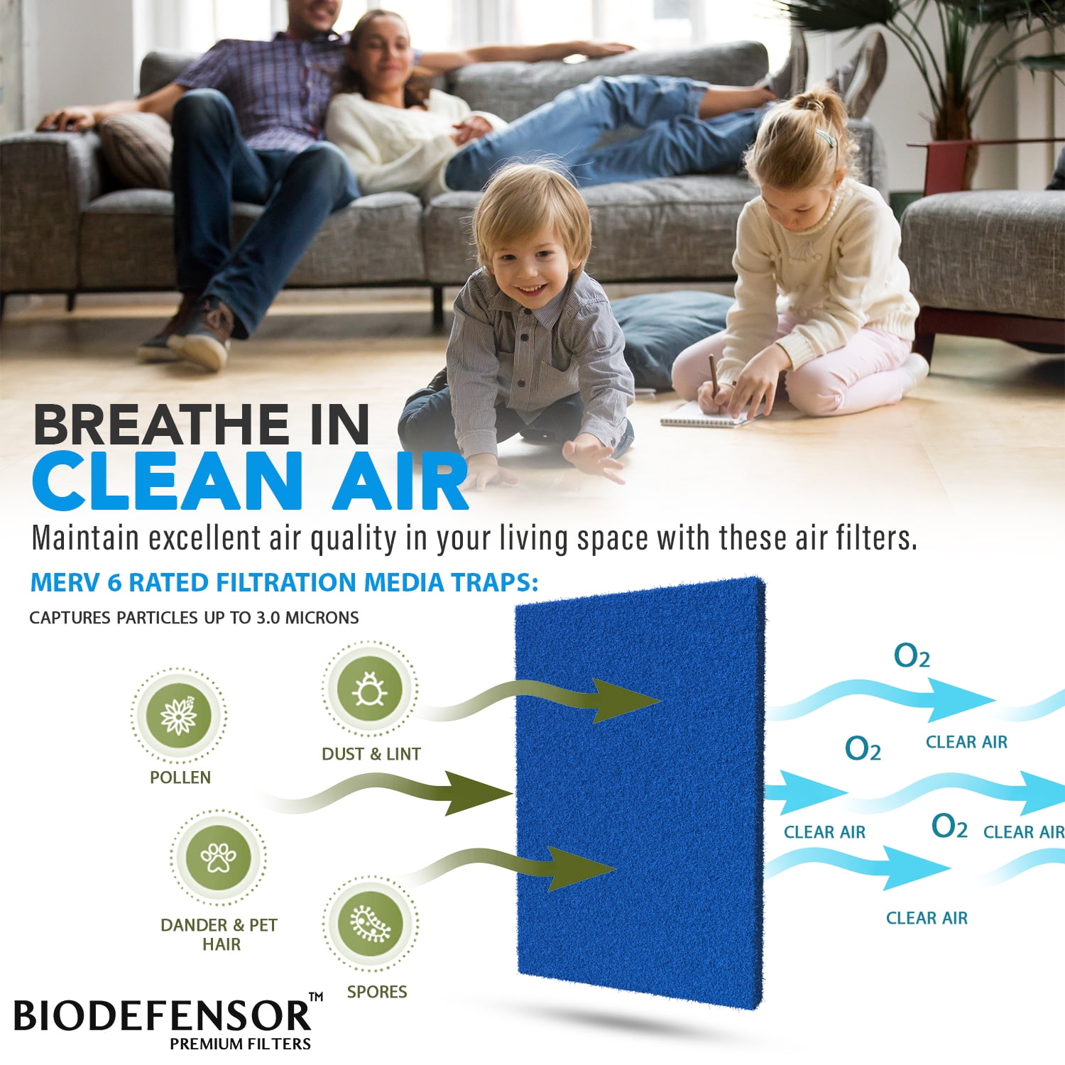 Biodefensor Washable Reusable AC Furnace Filter, MERV 6, 20x30x1 Cut to Fit