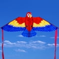 thumbnail image 3 of TFixol Cerf-Volant Perroquet Vibrant pour Enfants - Cerf-Volant Animal à Longue Queue Coloré en Rouge, Bleu, Jaune - Amusement Extérieur pour Tous Âges, 3 of 6