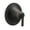 Matte Black, variant on Moen TS3101 Chrome Manual 1-Handle Shower Valve Trim