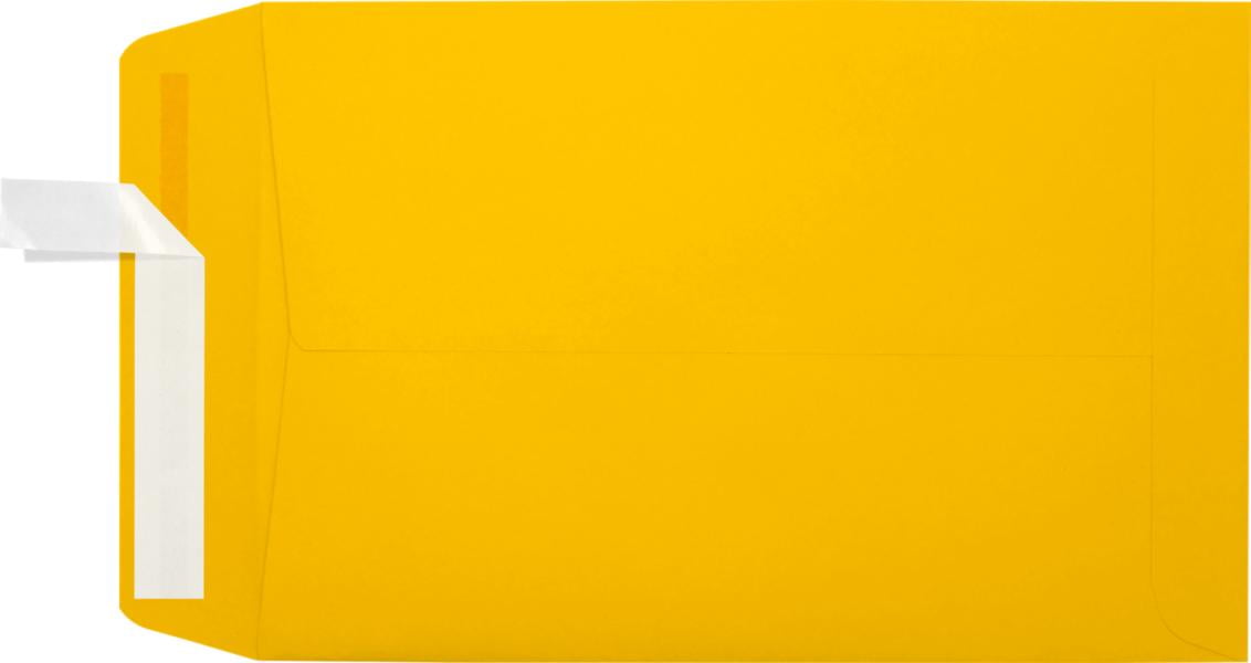 LUXPaper 6 x 9 Open End Envelopes, Sunflower, 1000/Pack