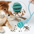thumbnail image 1 of Juguete para perros Salvador con cuerda y pelota 7cm, 1 of 10