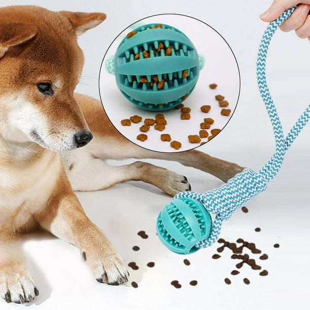 Juguete para perros con cuerda y pelota, juguete para masticar