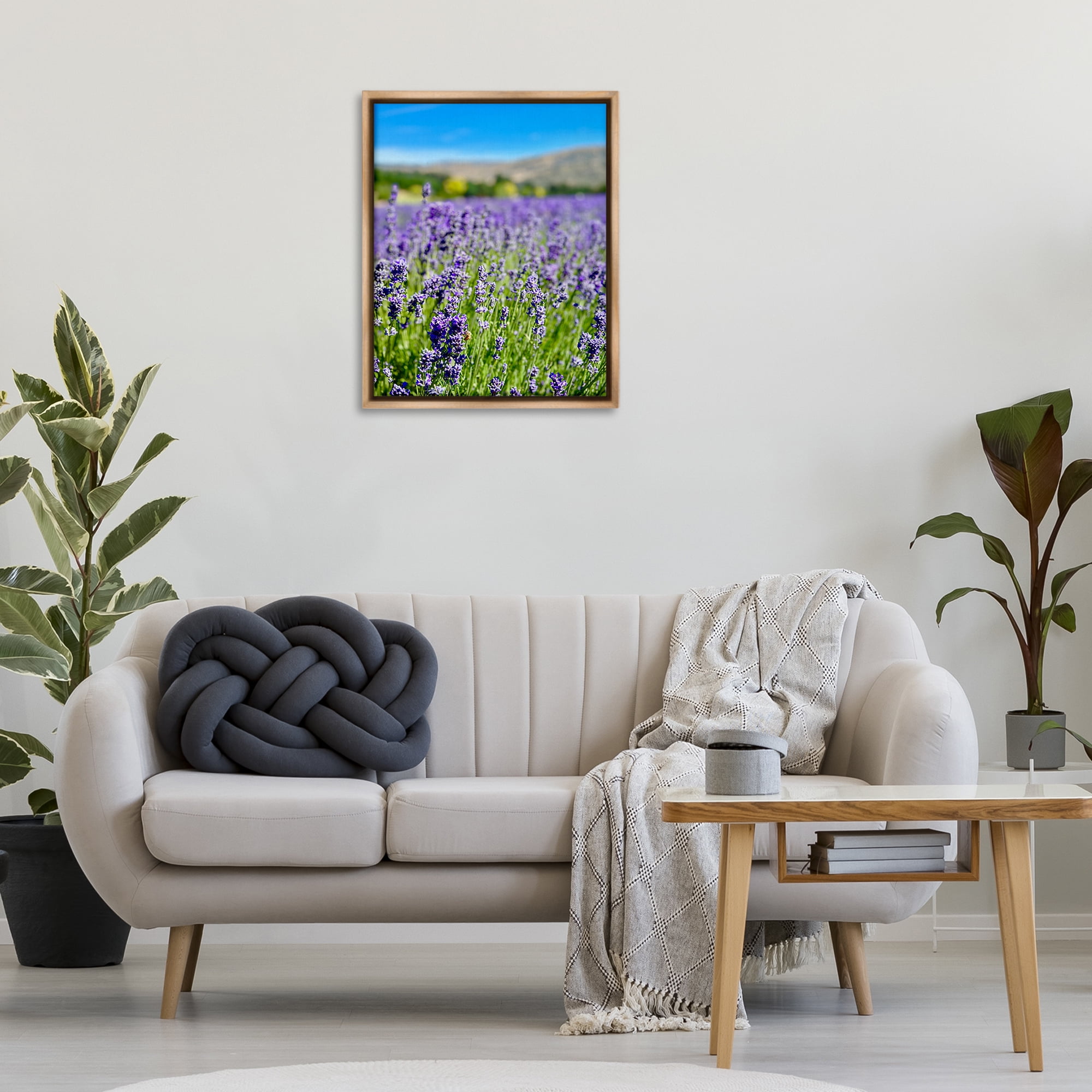 Stupell Industries Lavender in the Wind Landscape Photography Brown Floater Framed Art Print Wall Art, 25 x 31