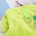 thumbnail image 3 of Adorable Pet Clothes for Cats & Small Dogs - Charming Spring & Autumn Wear, 3 of 4