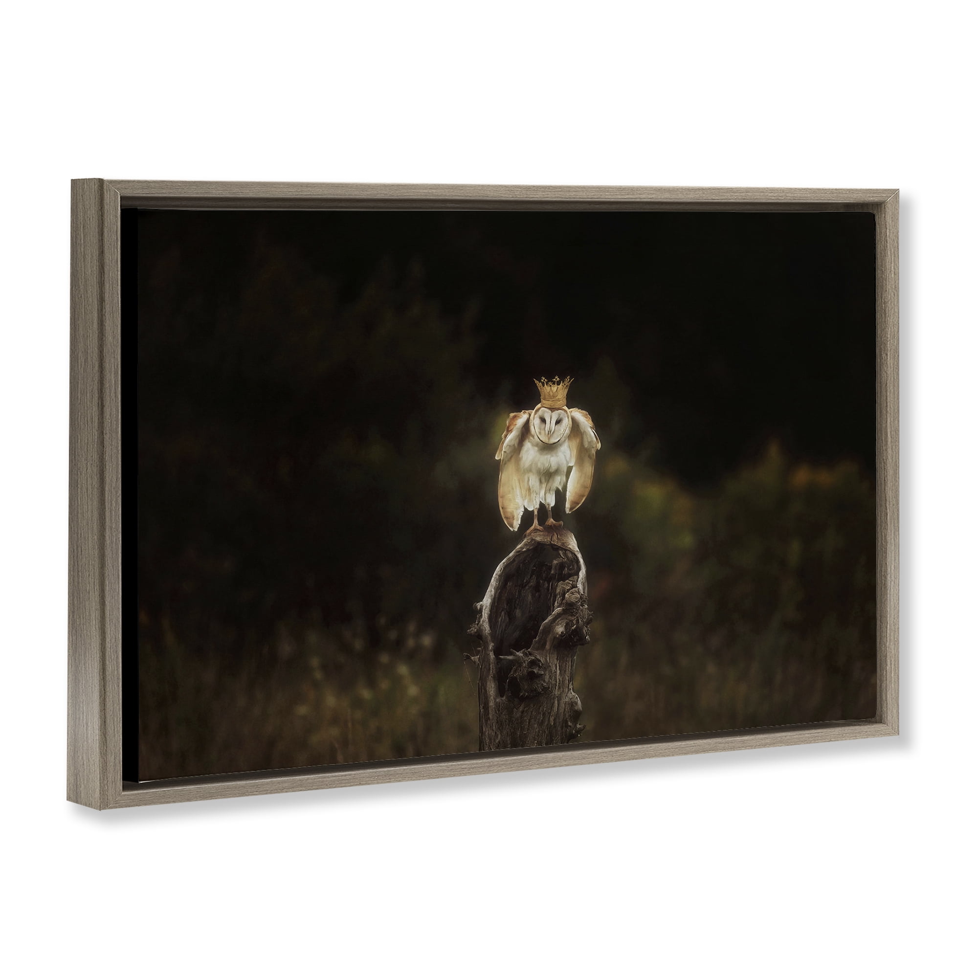 Stupell Industries Crowned Owl Perched Animals & Insects Photography Brown Floater Framed Canvas Art Print Wall Art, 25 x 17