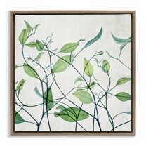 Stupell Industries Modern Vine Pattern Botanical & Floral Painting Brown Floater Framed Art Print Wall Art, 25 x 25