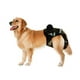 thumbnail image 2 of KAKOWELY 3Ud Físicos De Para Perros Reutilizables Ropa Sanitaria Para Mascotas, 2 of 8