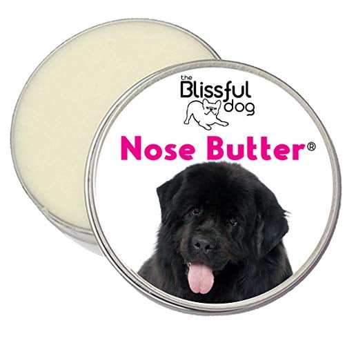The Blissful Dog Newfoundland Unscented Nose Butter Dog Nose Butter 1 Ounce Walmart