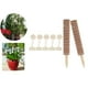 thumbnail image 5 of Soporte de extensión para plantas trepadoras Los 40cm, 5 of 9