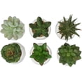thumbnail image 6 of MyGift Modern Mini White Geometric Ceramic Pots with Artificial Succulents, 6 Piece, 6 of 6