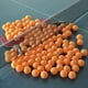 Fairnull 40mm / 1.6inch Pack de 150Pcs Balles Pratique Ping-Pong Balles de Tennis de Table Ensemble de Balle – image 5 sur 7