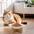 thumbnail image 5 of BESEW7 Ceramic Raised Cat Bowl with Wood Stand, Elevated Slow Feeder for Cats and Small Dogs, Non-Slip Base Easy Clean Pet Water Dish White, 5 of 6