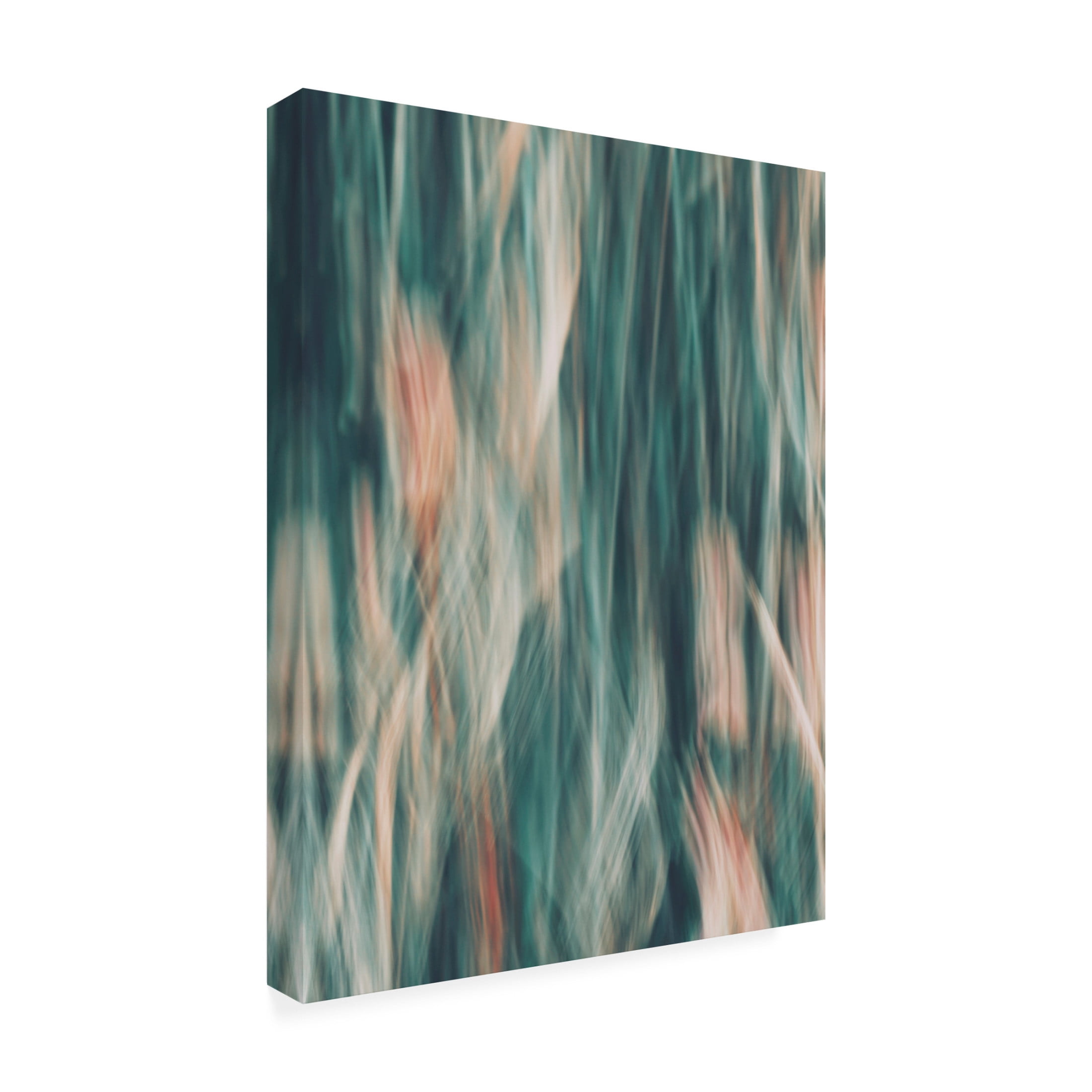 Canvas Wall Art - Bilge Paksoylu 'Unkraut 6 1' Wall Art for Living Room, Bedroom, or Office Décor by Trademark Fine Art - 14 x 19 Inches