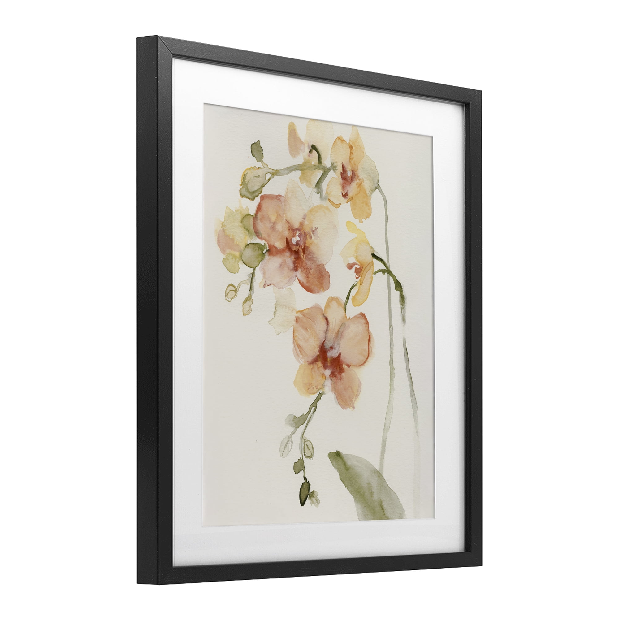 Stupell Industries Peach Orchid in Bloom Black Framed Print Under Glass, design by Victoria Barnes