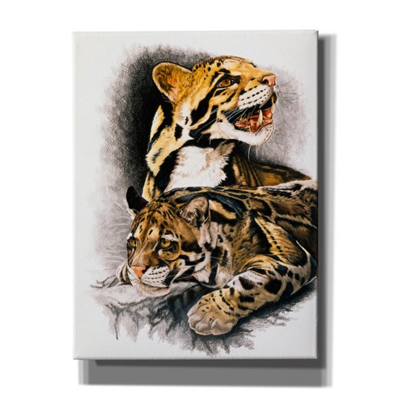 Epic Graffiti 'Neofelis Nebulosa' by Barbara Keith, Canvas Wall Art, 12"x16"