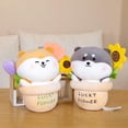 thumbnail image 2 of 2 Peluches De De Peluche ecoración De Habitación De , Regalos De Cumpleaños Y . Gloria Peluches, 2 of 9