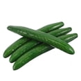 thumbnail image 1 of Phenofice 4Pcs Lifelike Simulation Cucumber Models for Home and Commercial Food Prop Displays, 1 of 6