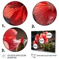 thumbnail image 3 of Designart "Coral Geraniums landscape" Floral Floater Framed Wall Decor, 3 of 7