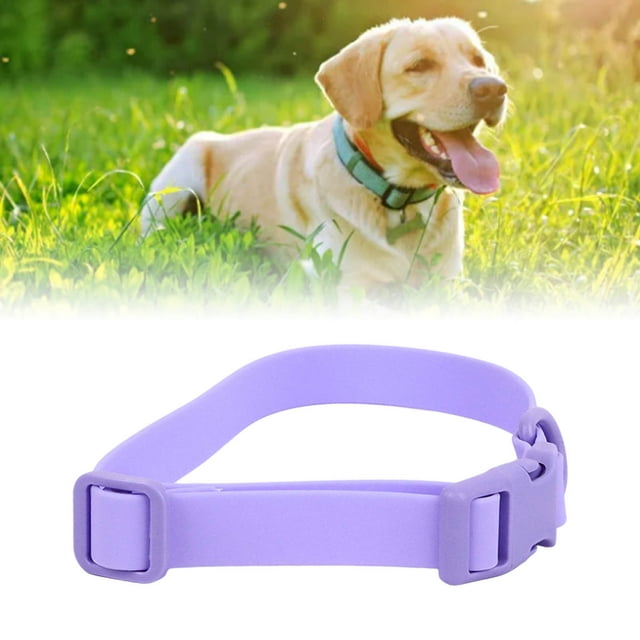 Collier Imperméable Réglable pour Chien avec Boucle Antirouille, Facile à Nettoyer, Confortable en PVC pour Animaux de Compagnie Adapté à l'Extérieur et à la Formation
