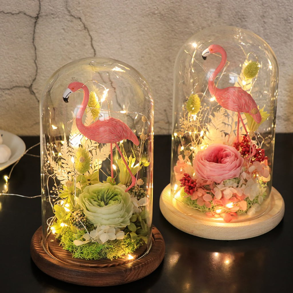 2pcs Glass Dome Bell Jar Cloche Display Wooden Base With Fairy Garden Decor 