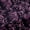 Purple, variant on Feelyou Damask Black Out Curtains, Purple Hippie Snake Curtains Pack of 2 (42x63 Each)