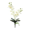 thumbnail image 2 of Visland Artificial Silk Phalaenopsis Flowers Artificial Orchid Flowers Stem Plants Fake Butterfly Phalaenopsis Flowers for Home Wedding Party Décor, 2 of 7