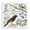American Robin Birdwatching Illustration, variant on Stupell Industries Local Bird Diagram Animals Painting Black Floater Framed Canvas Art Print Wall Art, 18 x 18