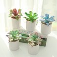 thumbnail image 1 of Decoración hogareña Gwong Succulents artificiales realista naturalista plástico surtido decorativo faux suculento accesorios caseros en maceta Gwong 21077745, 1 of 6