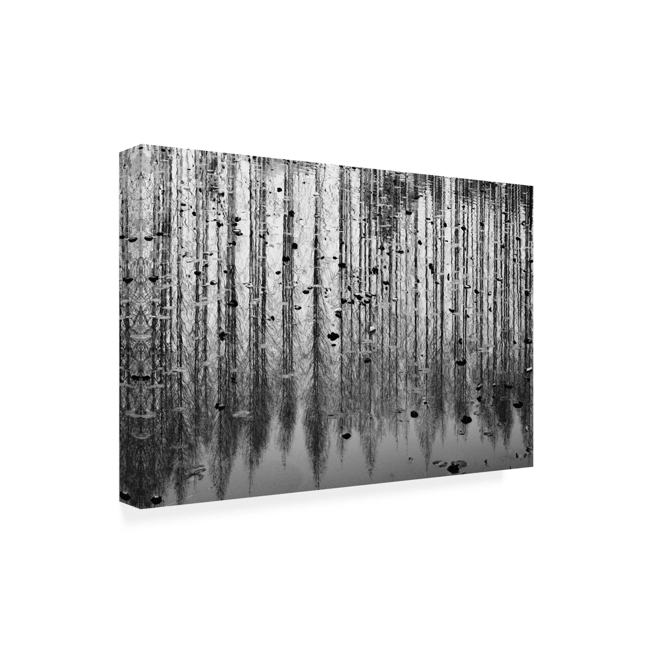 Trademark Fine Art YoungIl Kim  tall reflection Canvas Wall Art