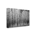 thumbnail image 4 of Trademark Fine Art YoungIl Kim  tall reflection Canvas Wall Art, 4 of 4