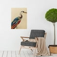 thumbnail image 2 of Rainbow Heron Bird Detailed Plumage Feathers Illustration Large Wall Art Poster Print Thick Paper 18X24 Inch, 2 of 4
