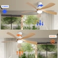 thumbnail image 3 of Sofucor 52 Inch Ceiling Fans with Lights and Remote, Outdoor Ceiling Fan with Light 6-Speed 3 CCT 3-Timer, Modern Low Profile Ceiling Fan 5 Blade Reversible DC Motor for Living Room Bedroom Patio, 3 of 12