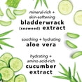 thumbnail image 4 of Face Mist Mario Badescu, spray facial, aloe, pepino, té verde, 4 of 6