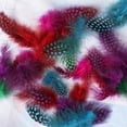thumbnail image 4 of Blesiya 50 Boucles d'Oreilles à Franges en Plumes de Poule, Multicolore, 4 of 8
