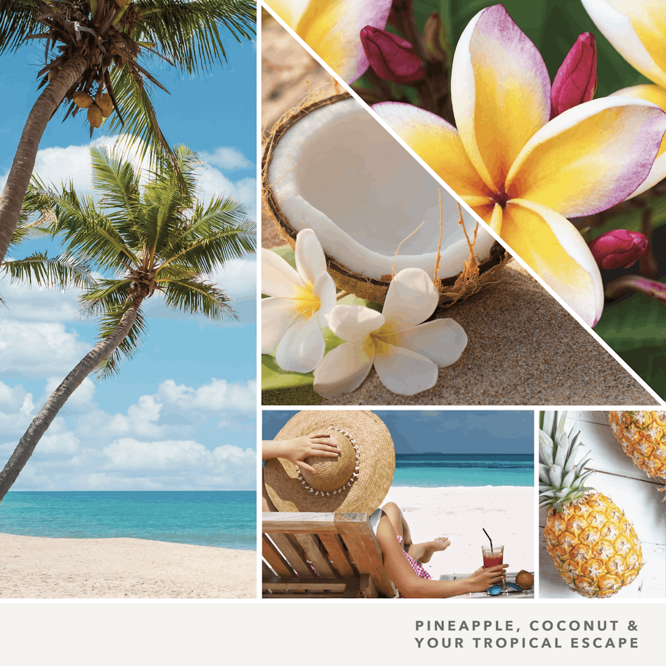 Yankee Candle Coconut Beach Fragranced Wax Melts, 6 Wax Spheres per Package, Pack of 6 (36 Cubes Total)