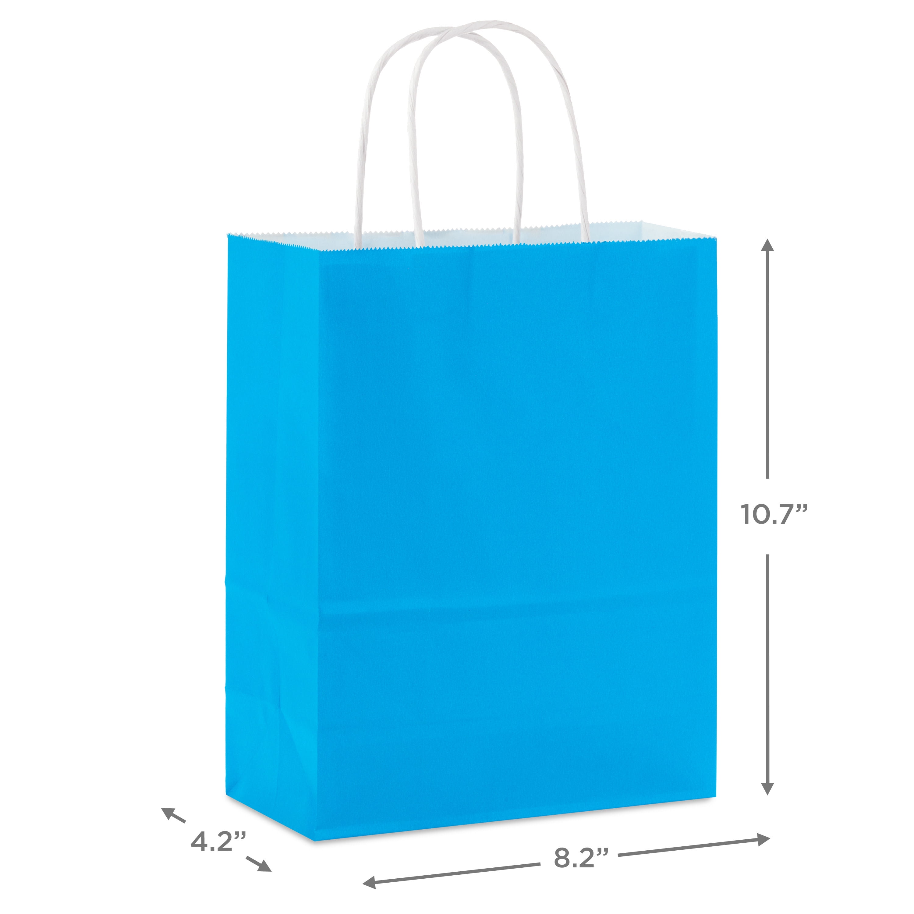 Hallmark Medium Gift Bag (Solid Blue)