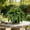 88-leaf, variant on Large Artificial Boston Fern for Outdoors, UV Resistant Fake Ferns for Hanging Baskets & Porch, 28/38/60/88 Fronds Lifelike Faux Fern Plants Bundles, Outdoor/Indoor Decor, No Pot (2, 38-Leaf)