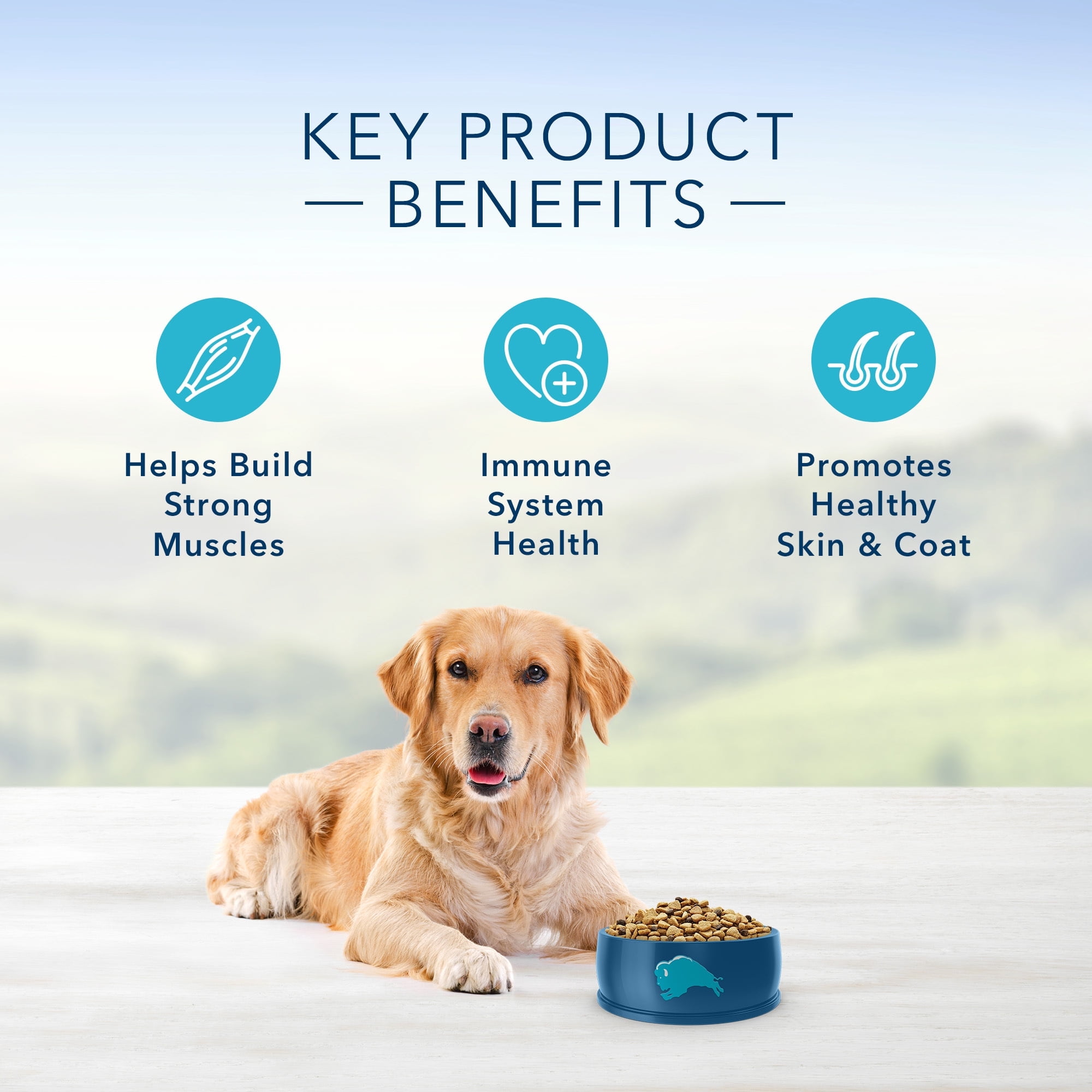 Blue Buffalo Life Protection Formula Lamb and Brown Rice Dry Dog Food for Adult Dogs, Whole Grain, 6 lb. Bag