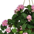 thumbnail image 3 of Geranium Hanging Basket Silk Plant, 3 of 4