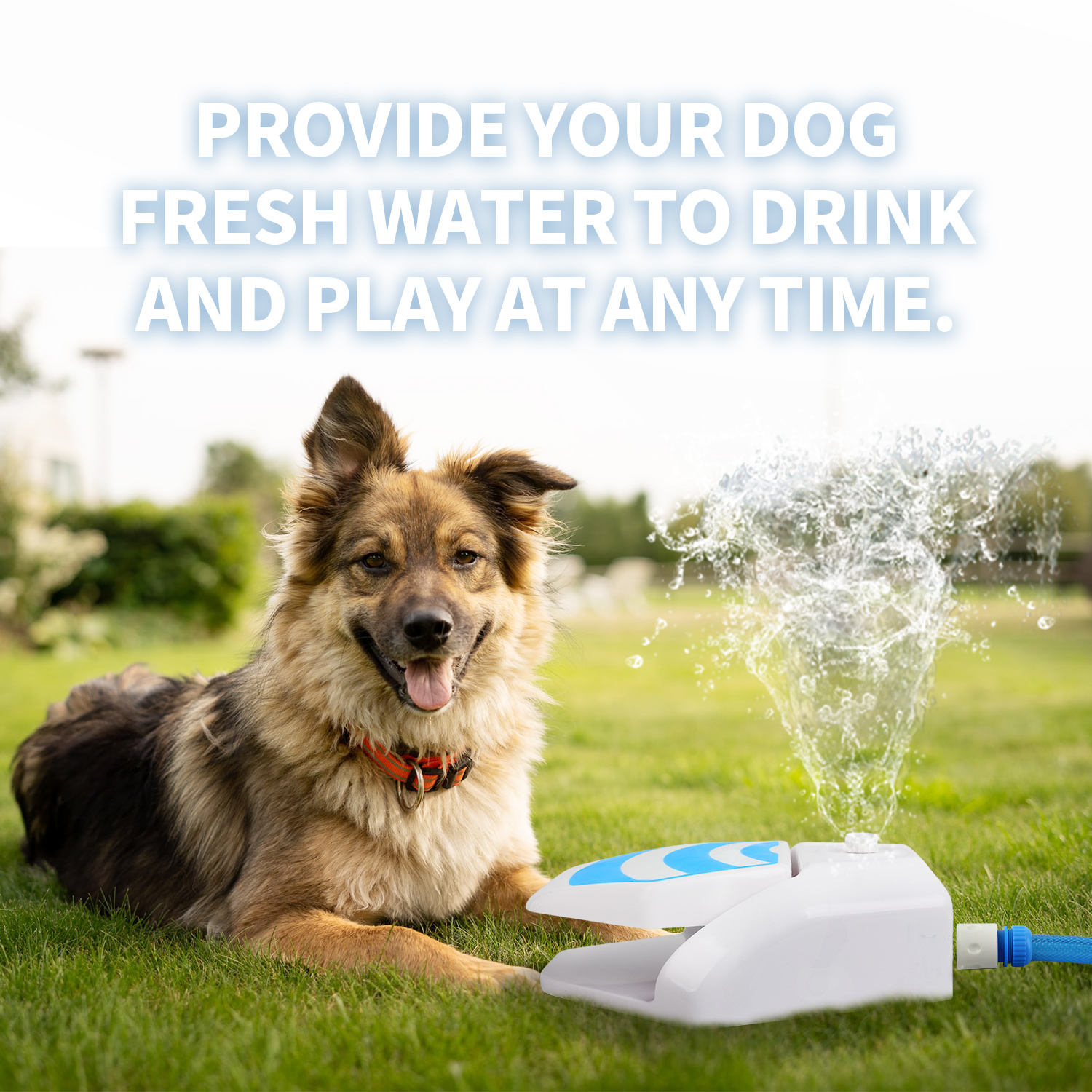 All For Paws Chill-Out Outdoor Step-On Dog Water Fountain Sprinkler with Connector & 57” Hose (Upgraded) - image 3 of 10