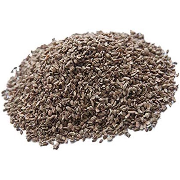 Queen Anne's Lace 500 Seeds