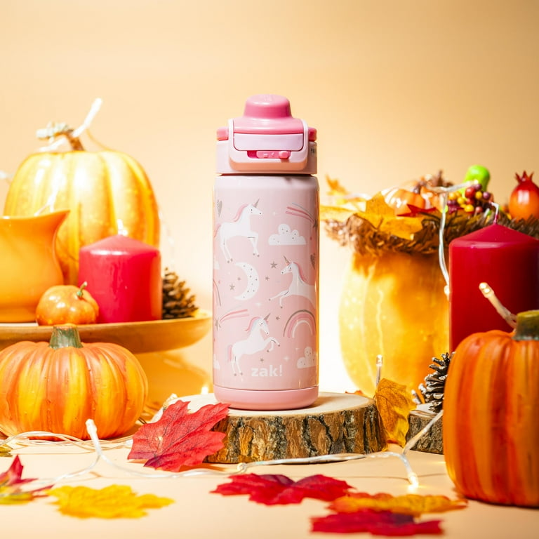 Zak Designs 14oz Kids Water Bottle, Stainless Steel, Double Wall