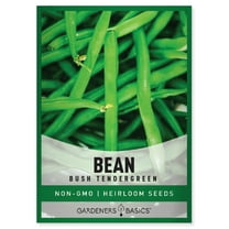 Bush Tendergreen Bean Seeds