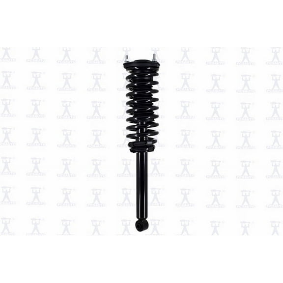 Suspension Strut and Coil Spring Assembly