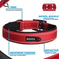 thumbnail image 3 of Collar de perro PetiFine, resistente y ajustable para perros de talla XL, 3 of 7