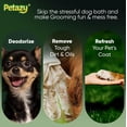 thumbnail image 4 of Guantes limpiadores para mascotas Petazy, 50 unidades, hipoalergénicos con aloe, 4 of 9