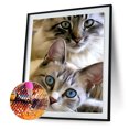thumbnail image 1 of Cuadros Decorativos Kit de pintura de diamante 5D mosaico de taladro redondo completo de gato DIY (HJ498) DQrwqpou Nuevos Originales, 1 of 9